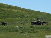 2026-06-20 Sopralluogo Trail Duchessa 062